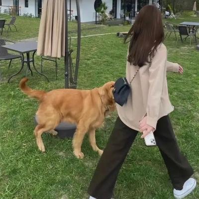 行运超人